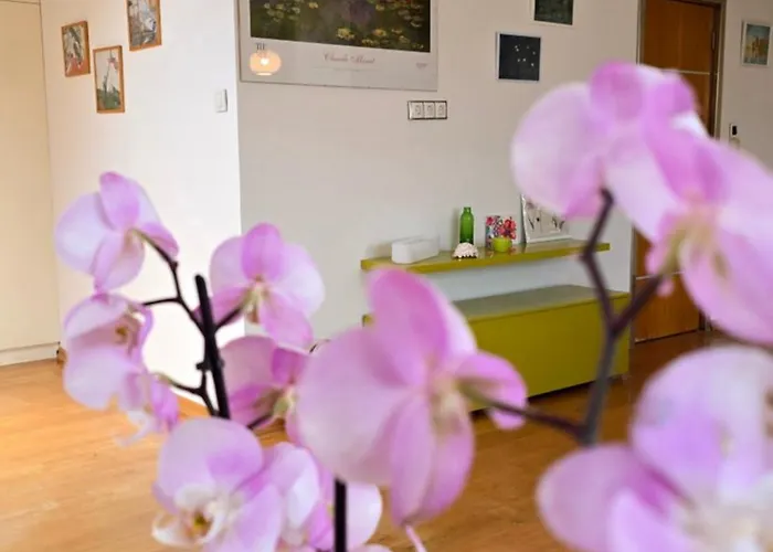 арт мезонет под тепето *